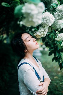 少女的视频完整版在线观看