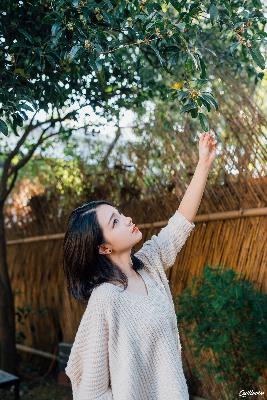 风流女管家