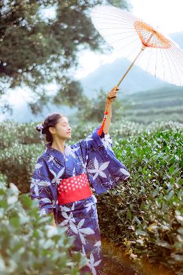 日韩黄色视频,欧美人妻日韩精品